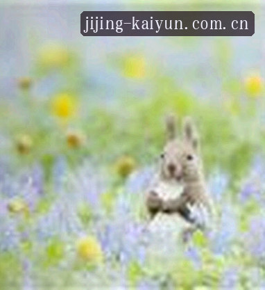 周杰