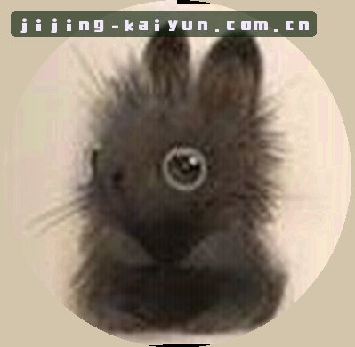 刘洋